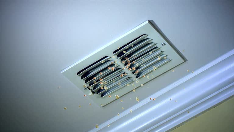 Best Ventilation Cleaning Services  in Five Forks, SC